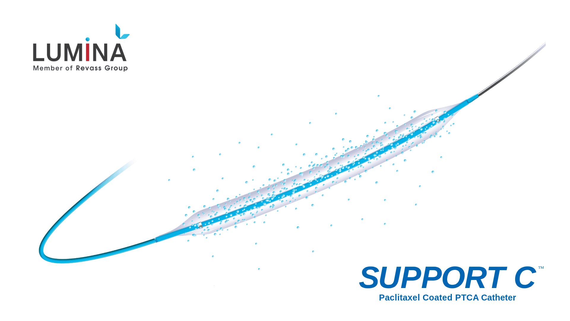 SUPPORT C Paclitaxel Coated PTCA Catheter